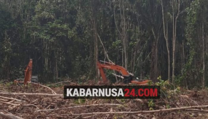 SK Bupati Diabaikan, Aktivitas Pembukaan Lahan PT FIA Terus Berjalan di Lumut Maju