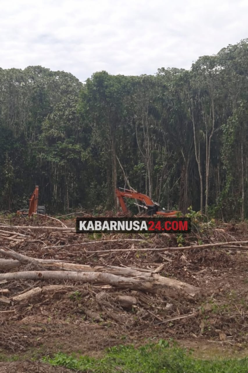 SK Bupati Diabaikan, Aktivitas Pembukaan Lahan PT FIA Terus Berjalan di Lumut Maju