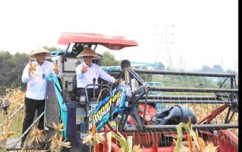 Melalui Panen Raya Jagung di Kabupaten Bekasi Dorong Percepatan Swasembada Pangan Nasional