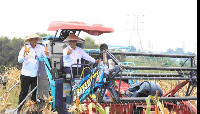 Melalui Panen Raya Jagung di Kabupaten Bekasi Dorong Percepatan Swasembada Pangan Nasional