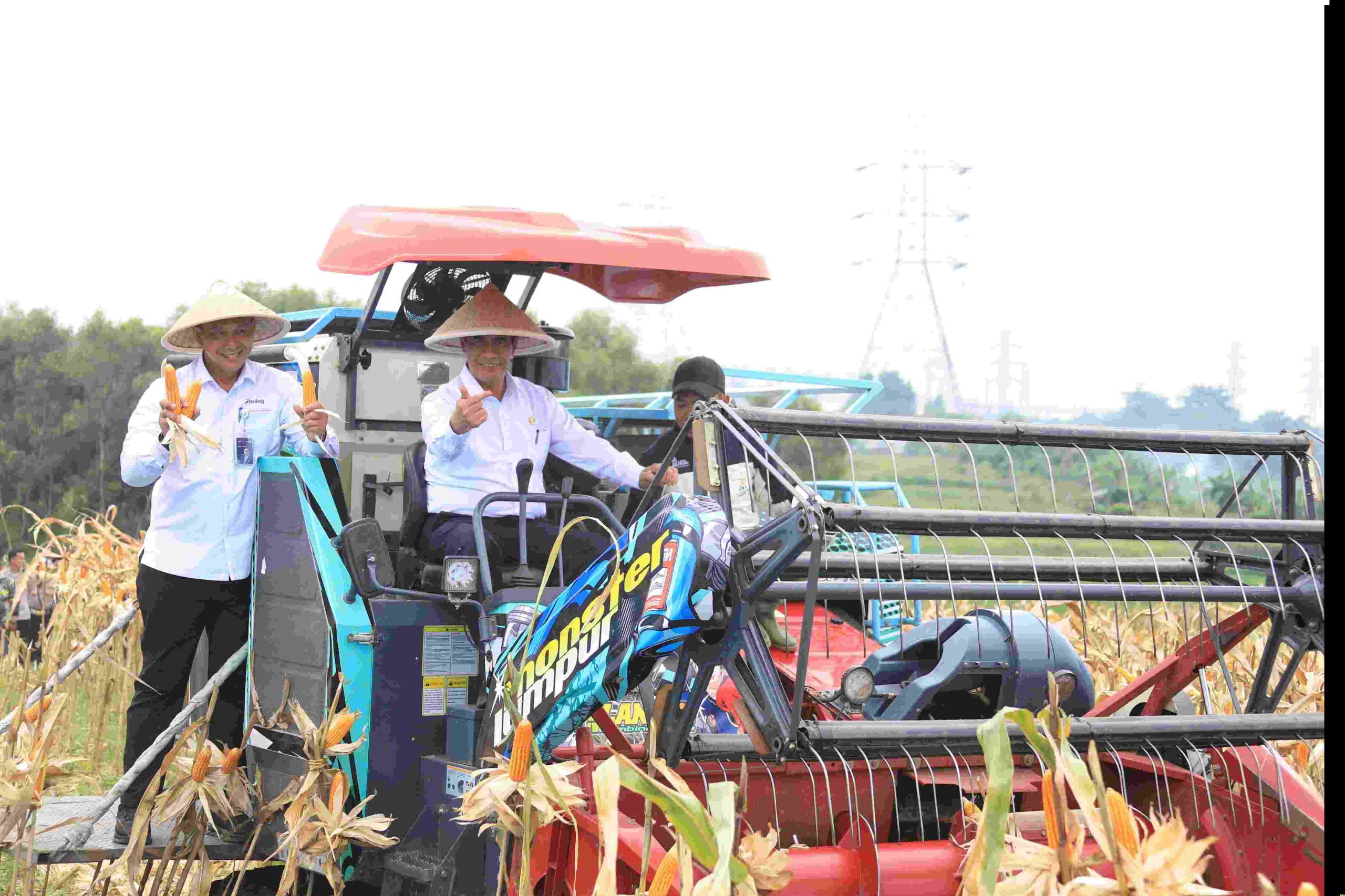Melalui Panen Raya Jagung di Kabupaten Bekasi Dorong Percepatan Swasembada Pangan Nasional