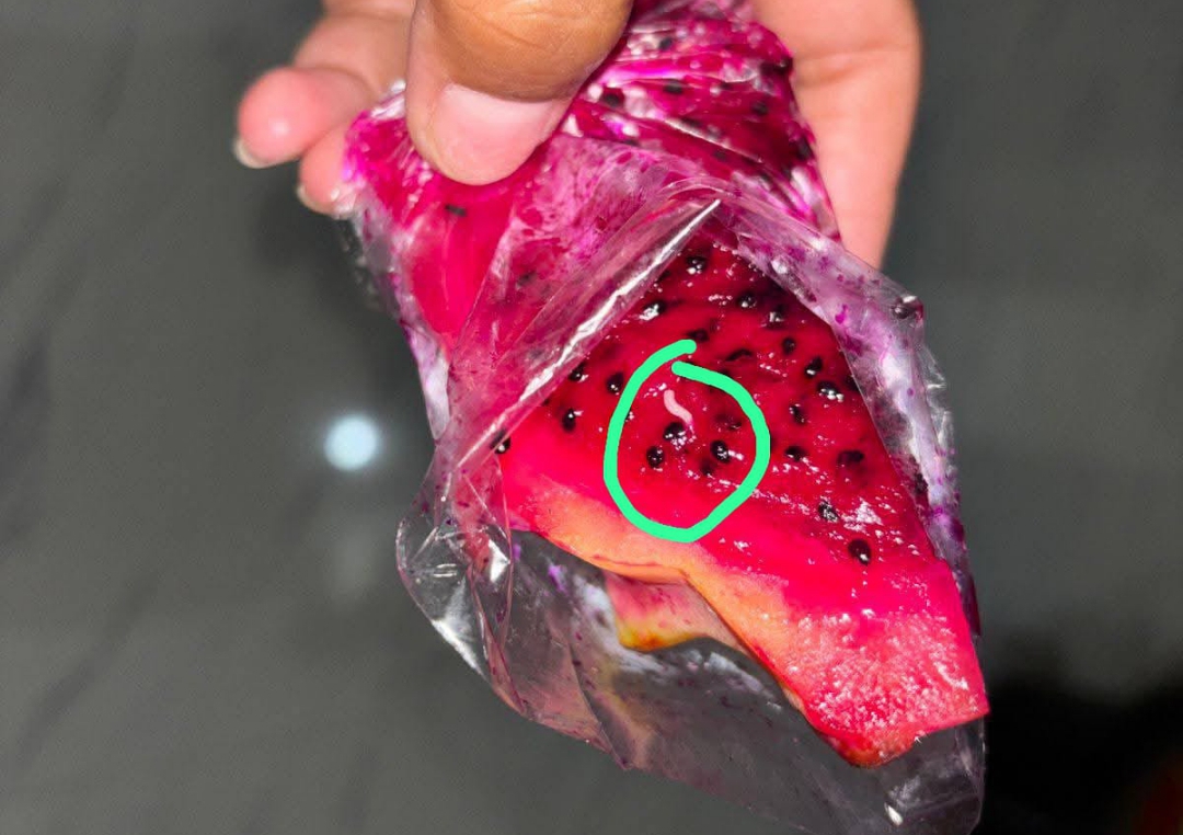 Diduga Imbas Unggahan Viral Buah Naga Berulat, Distribusi MBG Balita di 5 Posyandu Ujungpendok Jaya Dipending 14 Hari