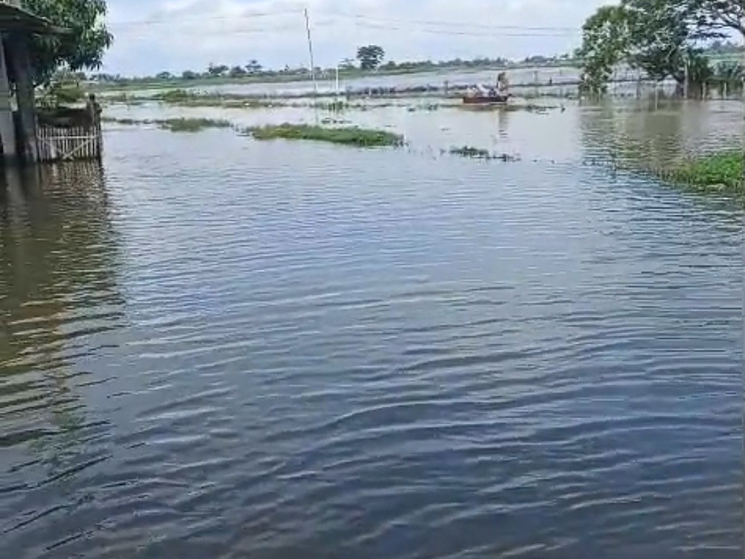 Warga Kampung Utan Gedong Keluhkan Banjir Sudah Hampir Sebulan Lumpuhkan Aktivitas