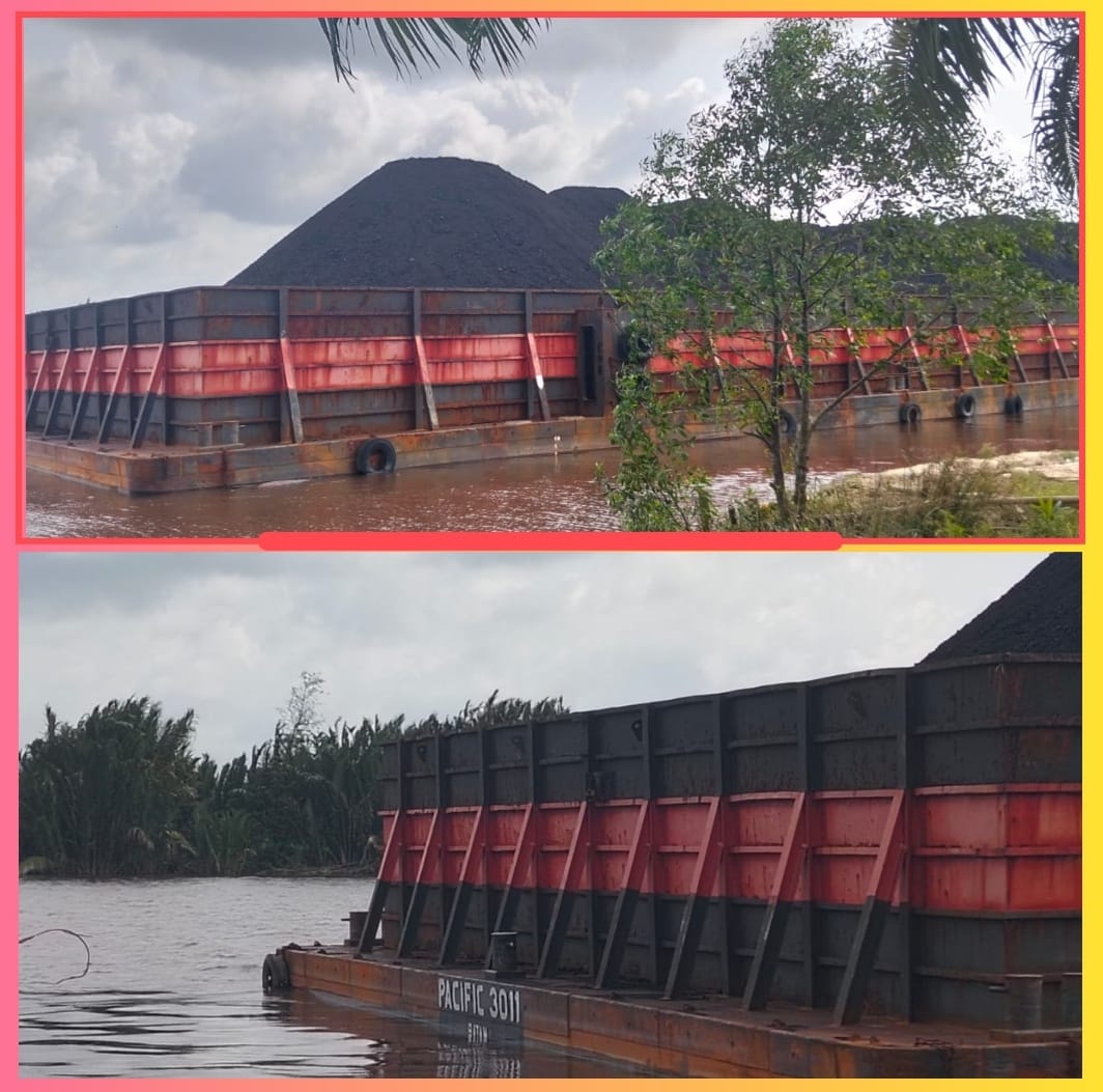 Tambatan Liar di Sungai Lalan Resahkan Warga Desa Karang Agung