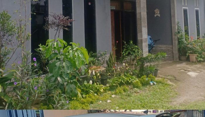 Prilaku Bejad, Harta Gono Gini Dijual Mantan Suami Seorang PPPK Guru Agama Banjarnegara