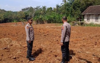 Dukung Ketahanan Pangan, Polres Lampung Utara  Cek Lahan  Tanam Jagung Serentak  Di  Kotabumi Utara