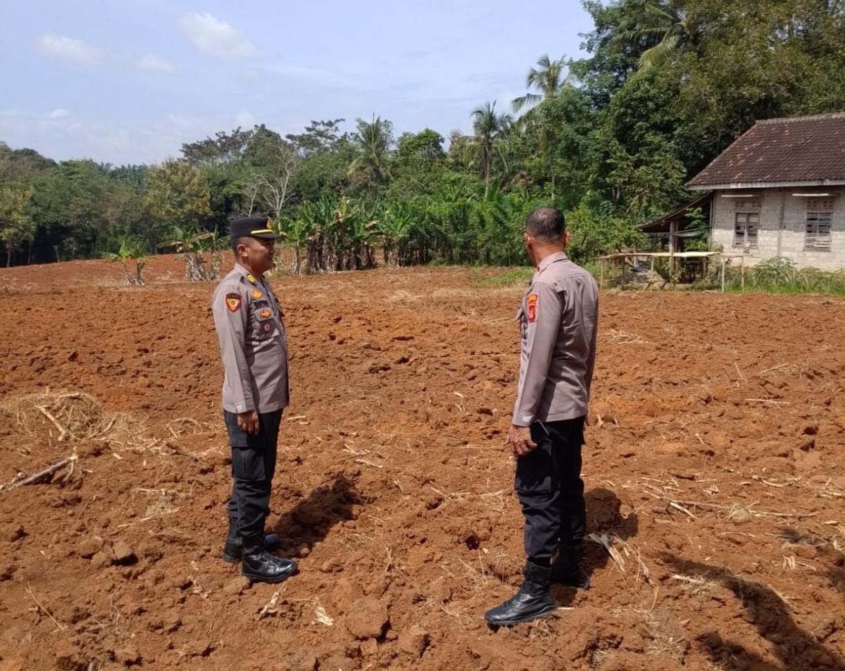 Dukung Ketahanan Pangan, Polres Lampung Utara Cek Lahan Tanam Jagung Serentak Di Kotabumi Utara