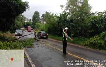 Sigap Tangani Pohon Tumbang Satlantas Polres Lampung Utara  Lakukan  Pengaturan Lalu Lintas Di Jalinsum