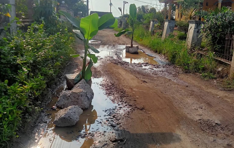 Warga Tanam Batang Pisang di Jalan Rusak Gang Sella Cidadap, Bentuk Protes ke Pemerintah Desa Cikedung