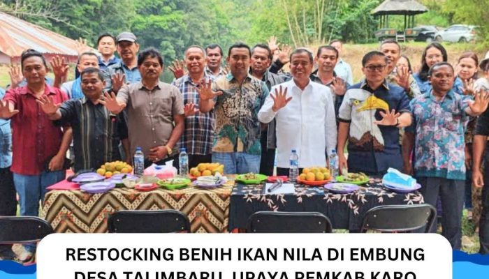 Restocking Benih Ikan Nila di Embung Desa Talimbaru Upaya Pemkab Karo Lestarikan Ekosistem dan Tingkatkan Kesejahteraan Masyarakat