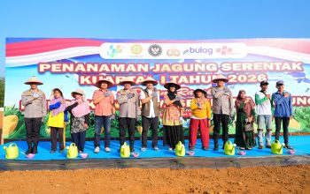Penanaman jagung serentak Kwartal 1 Tahun 2026 Polda Sumut, Dukung Ketahanan Pangan Nasional