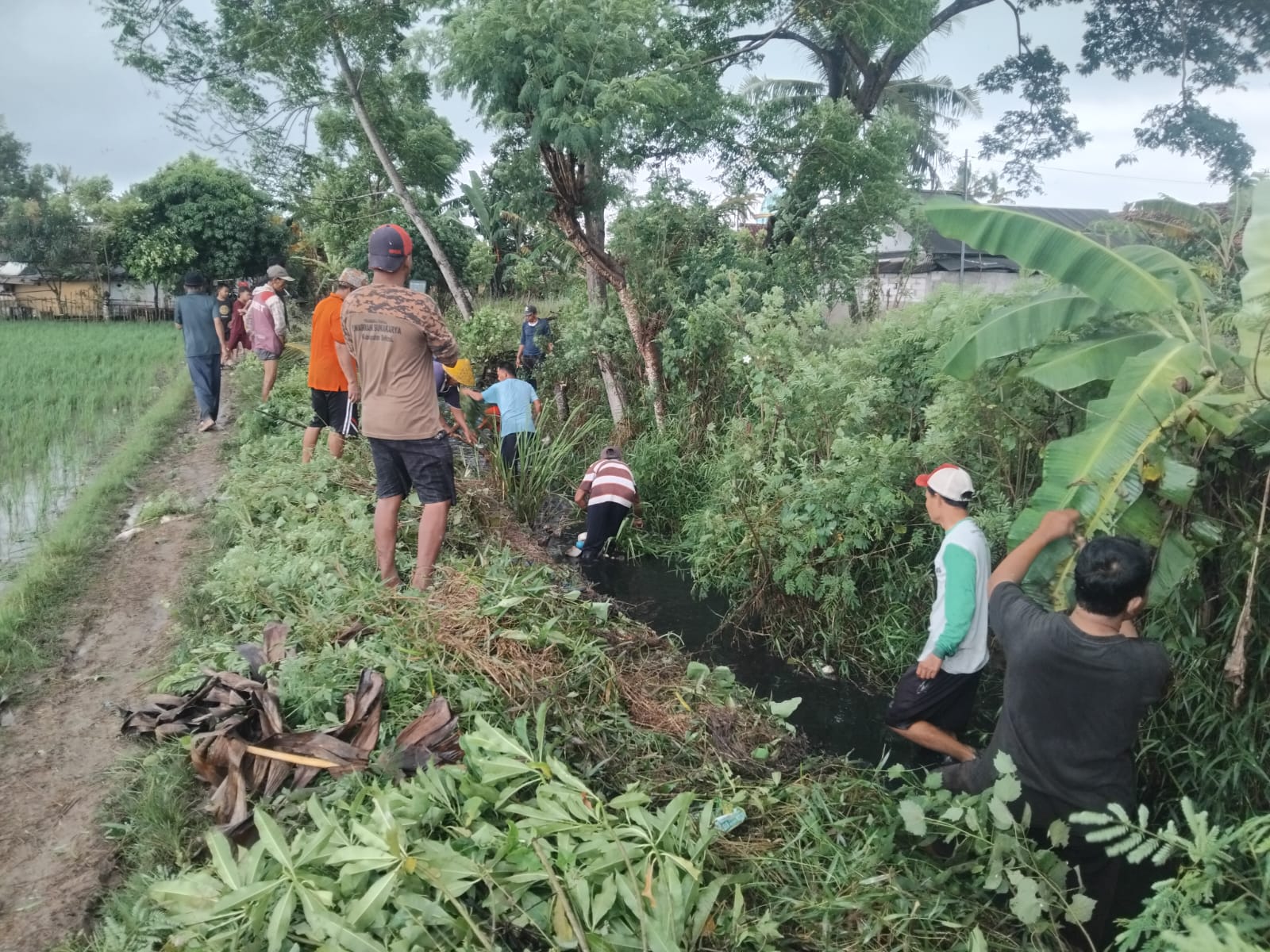 Adi Sumardi Balon Kades Sukakarya, Pigur Pemuda Bermasyarakat Adi Sumardi Balon Kades Sukakarya, Pigur Pemuda Bermasyarakat