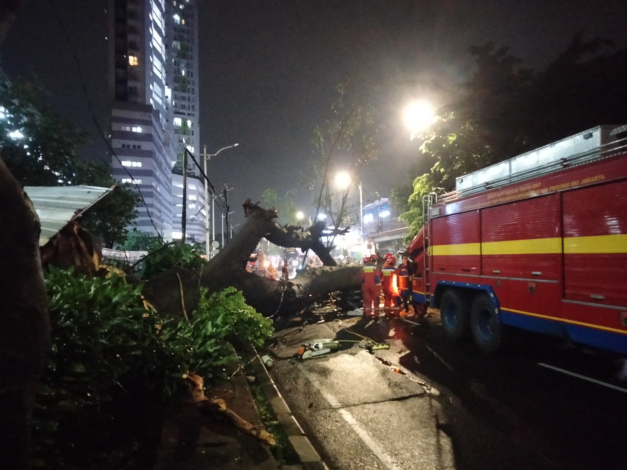 Jelang Sahur, Pengendara Motor Tertimpa Pohon Tumbang di Tanjung Barat Jaksel