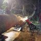 Jelang Sahur, Pengendara Motor Tertimpa Pohon Tumbang di Tanjung Barat Jaksel