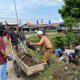 Kuwu Jatibarang Baru Pimpin Padat Karya Bersihkan Saluran Kali Sojar
