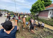 Kuwu Jatibarang Baru Pimpin Padat Karya Bersihkan Saluran Kali Sojar Kuwu Jatibarang Baru Pimpin Padat Karya Bersihkan Saluran Kali Sojar