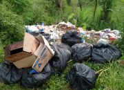 Armada MBG Disalahgunakan Dipakai Angkut Logistik Sekaligus Buang Sampah di Tanggul Sungai Kertasmaya Armada MBG Disalahgunakan Dipakai Angkut Logistik Sekaligus Buang Sampah di Tanggul Sungai Kertasmaya