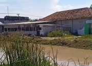 Dugaan Peredaran Obat Keras Bebas di Dusun Sasak Mijan Anjatan Utara Disorot, Warga Resah