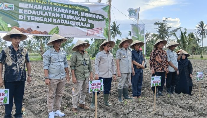 Petani Tembakau Bondowoso Deklarasikan Perlindungan Tembakau Lokal di Awal Musim Tanam 2026