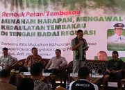 Petani Tembakau Bondowoso Deklarasikan Perlindungan Tembakau Lokal di Awal Musim Tanam 2026