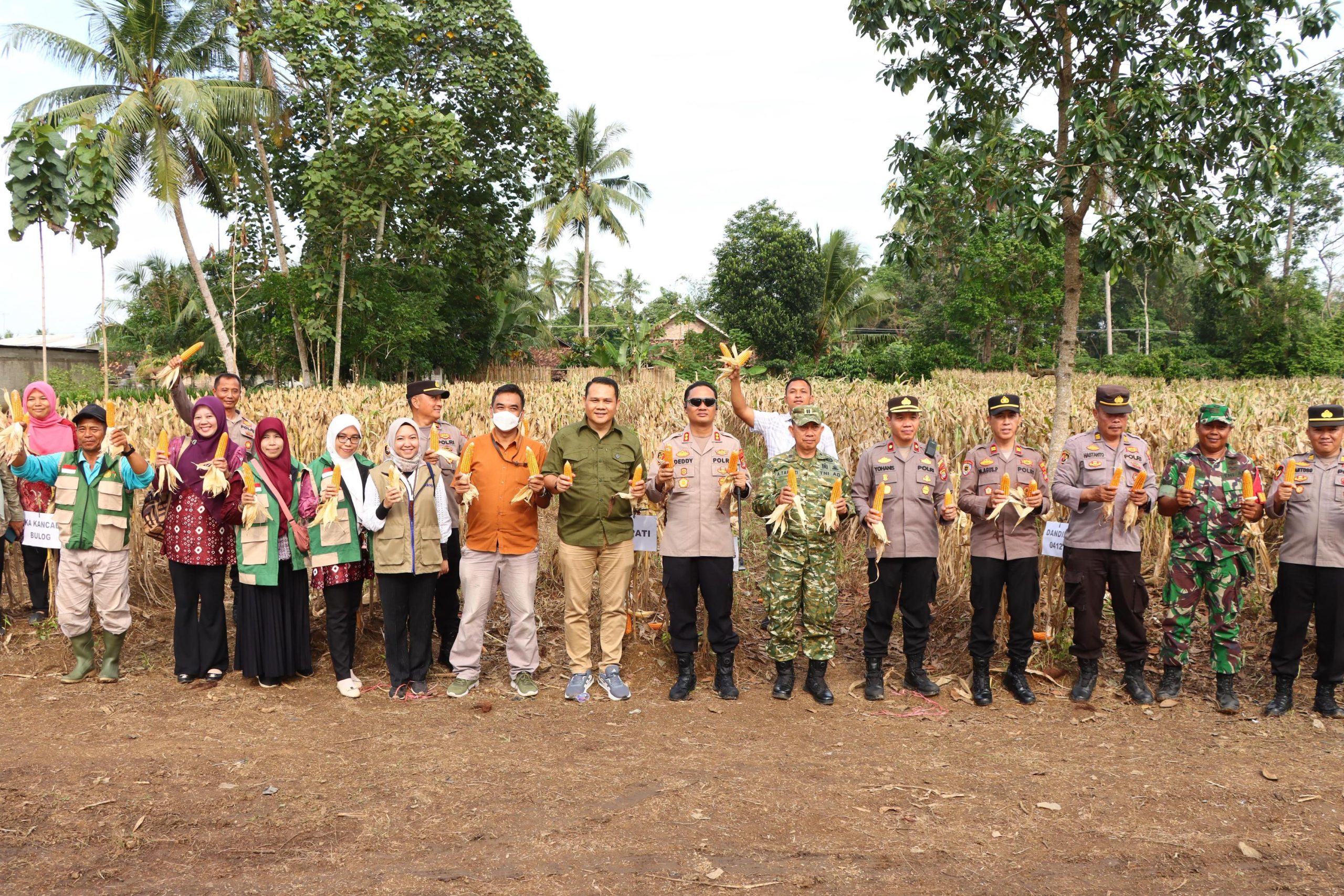 Dukung Ketahanan Pangan, Polres Lampung Utara Panen Raya Jagung Serentak Kwartal II Tahun 2026 Di Abung Timur