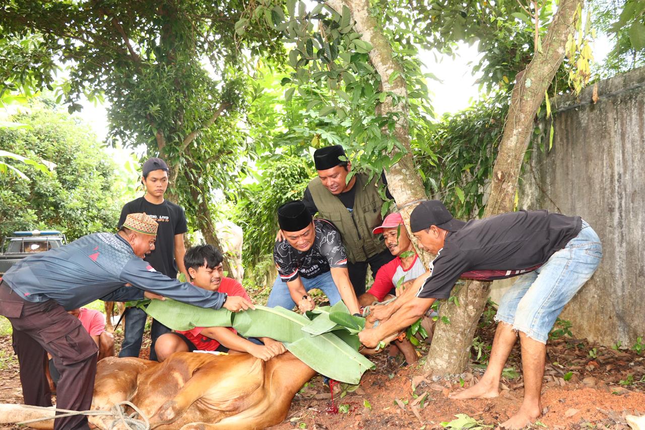 Polres Lampung Utara Laksanakan Pemotongan Hewan Qurban 1447 H