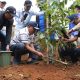 Tanam Ribuan Pohon di Bandung, Menteri LH Jumhur Fokus Pulihkan Lahan Kritis