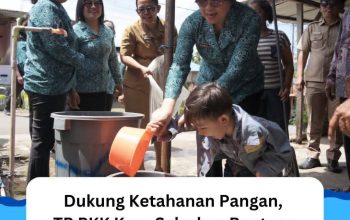 TP PKK Karo Salurkan Bantuan Benih Ikan Lele di Desa Temburun