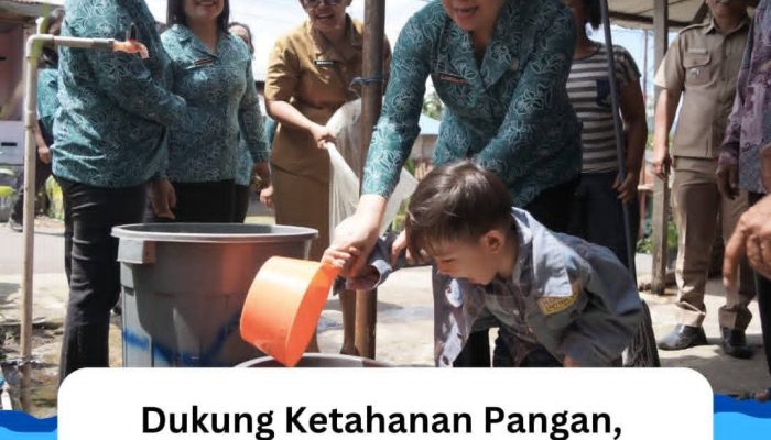 TP PKK Karo Salurkan Bantuan Benih Ikan Lele di Desa Temburun