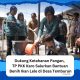 TP PKK Karo Salurkan Bantuan Benih Ikan Lele di Desa Temburun