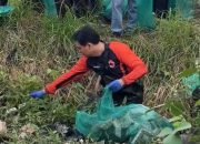 Bupati Lucky Hakim Pimpin Aksi Bersih Sampah di Sungai Pamengkang Krangkeng