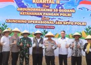 Kapolda Jabar Pimpin Panen Raya Jagung di Indramayu, Dorong Swasembada Pangan Nasional
