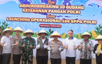 Kapolda Jabar Pimpin Panen Raya Jagung di Indramayu, Dorong Swasembada Pangan Nasional