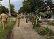 Aksi Tanam Pohon Pisang Berbuah Hasil, Jalan Rusak di Desa Gadingan Segera Diperbaiki