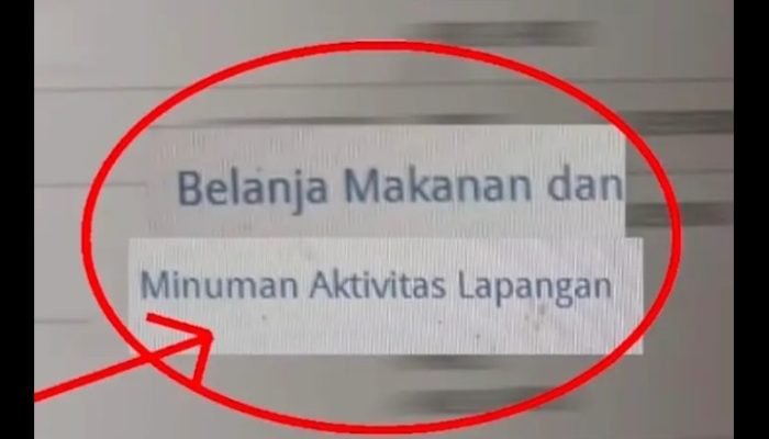 Publik Tapteng Heboh, Video Dugaan Bongkar Anggaran Pemkab Tuai Reaksi Keras Warganet