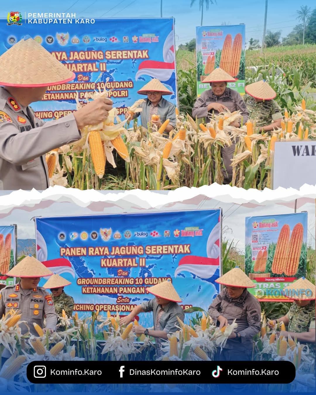 Wakil Bupati Karo Hadiri Panen Raya Jagung Serentak Dukung Swasembada Pangan Tahun 2026 Wakil Bupati Karo Hadiri Panen Raya Jagung Serentak Dukung Swasembada Pangan Tahun 2026