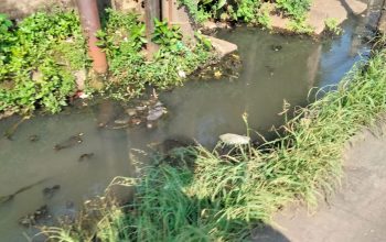 Diduga Pejabat Kecamatan Joglo JakBar Tak Peduli Bersih Lingkungan, Kondisi Air Selokan Got Depan TPU Mampet
