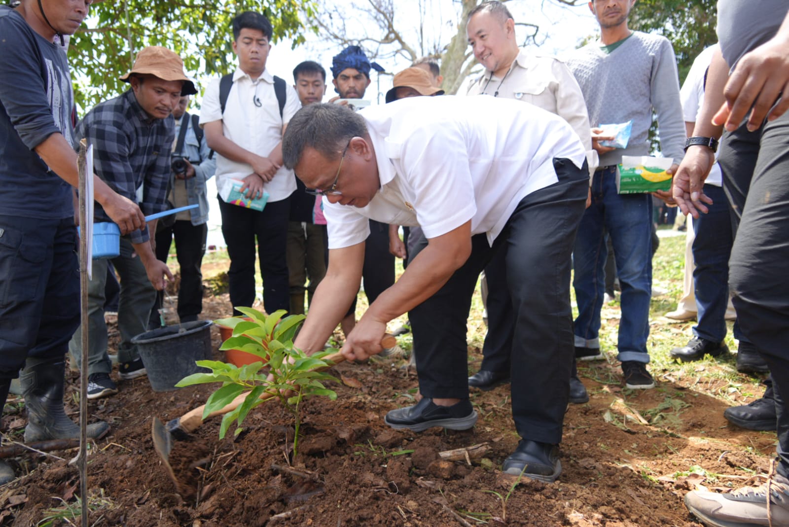 1000 Pohon Ditanam, Aksi Nyata Kepedulian Menteri LH Jumhur dan Petani Cianjur Bukti Jaga Bumi Bisa Bikin Sejahtera