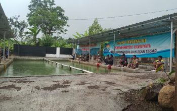 Kolam Pemancingan Baraya di Jonggol Hadirkan Sensasi bagi Pecinta Mancing Mania