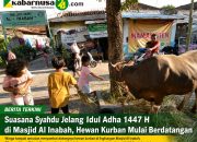 Suasana Syahdu Jelang Idul Adha 1447 H di Masjid Al Inabah, Hewan Qurban Mulai Berdatangan