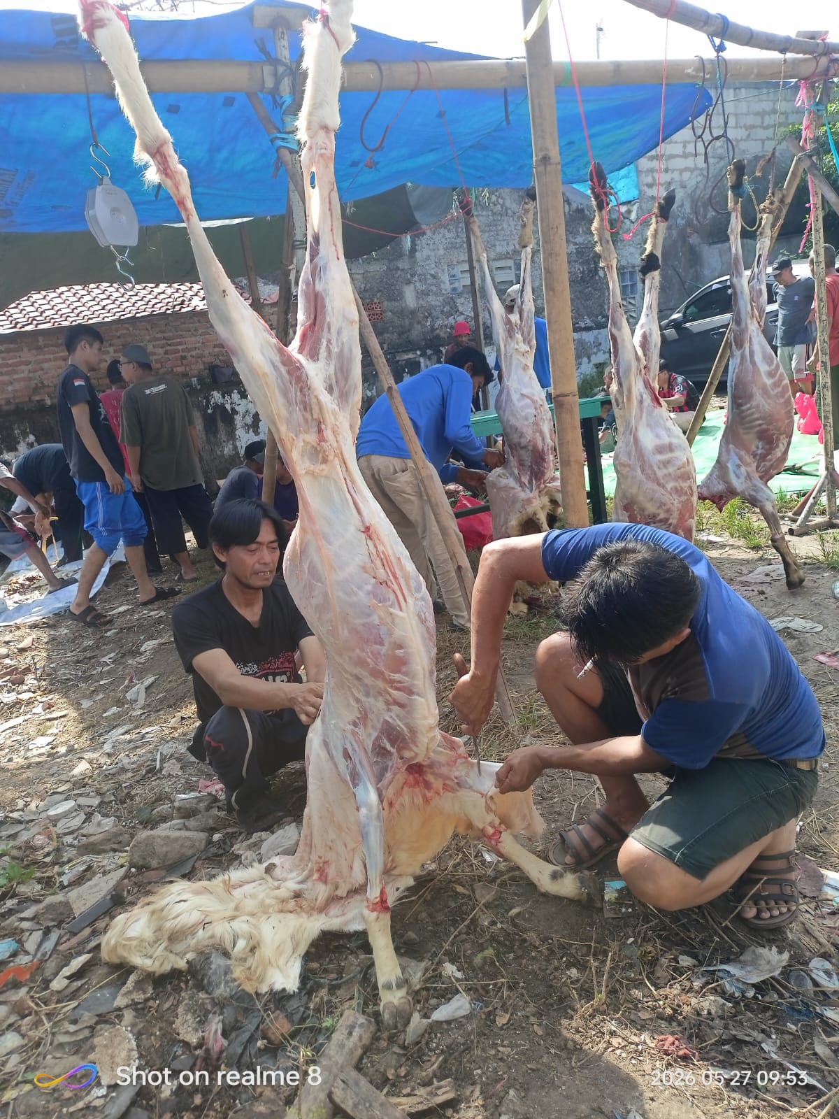 ‎Jamaah Musolah Assurur Cikarang Gelar Penyembelihan Hewan Kurban Iduladha 1447 H, Salurkan Paket Daging untuk Warga Kurang Mampu