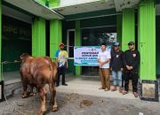 Gus Rivqy Salurkan Puluhan Sapi Kurban ke Jember dan Lumajang, Bobot Capai 1 Ton