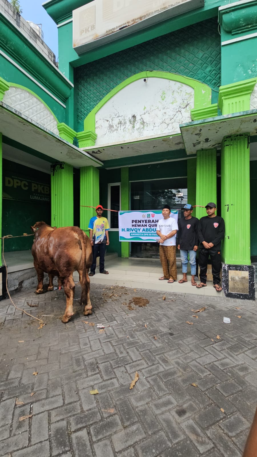 Gus Rivqy Salurkan Puluhan Sapi Kurban ke Jember dan Lumajang, Bobot Capai 1 Ton