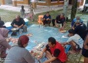 Warga Blok Bonjot Ujung Pendok Jaya Sukses Gelar Qurban 6 Ekor Kambing, Daging Dibagikan ke 98 Rumah Warga Blok Bonjot Ujung Pendok Jaya Sukses Gelar Qurban 6 Ekor Kambing, Daging Dibagikan ke 98 Rumah