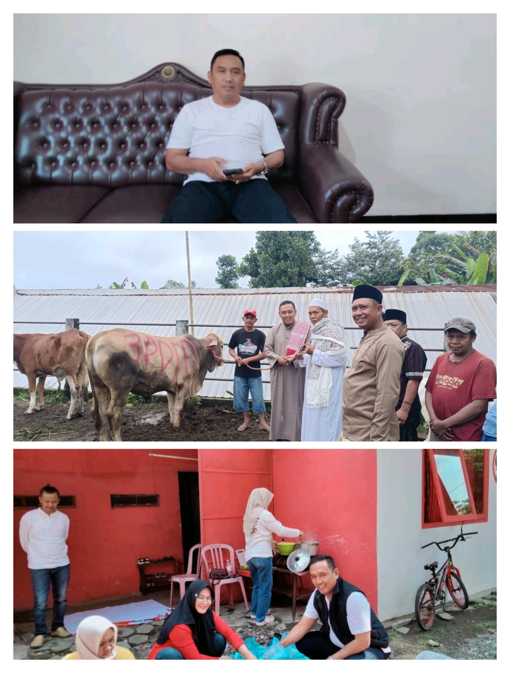 PDI Perjuangan Lumajang Tebar Kepedulian di Idul Adha 1447 H, Dua Sapi Kurban Disalurkan untuk Masyarakat
