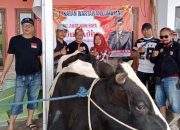 Kawendra Lukistian Salurkan 88 Ekor Sapi Kurban untuk Warga Jember dan Lumajang