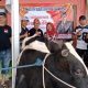 Kawendra Lukistian Salurkan 88 Ekor Sapi Kurban untuk Warga Jember dan Lumajang