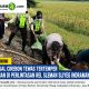 Wanita Asal Cirebon Tewas Tertemper KA Manahan di Perlintasan Rel Sleman Sliyeg Indramayu