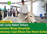Bupati Lucky Hakim Terharu, Antusiasme Warga Berqurban di Indramayu Capai Ribuan Ekor Hewan Qurban