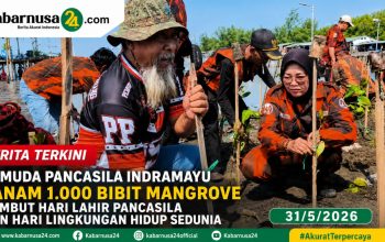 Pemuda Pancasila Indramayu Tanam 1.000 Bibit Mangrove Sambut Hari Lahir Pancasila dan Hari Lingkungan Hidup Sedunia Pemuda Pancasila Indramayu Tanam 1.000 Bibit Mangrove Sambut Hari Lahir Pancasila dan Hari Lingkungan Hidup Sedunia